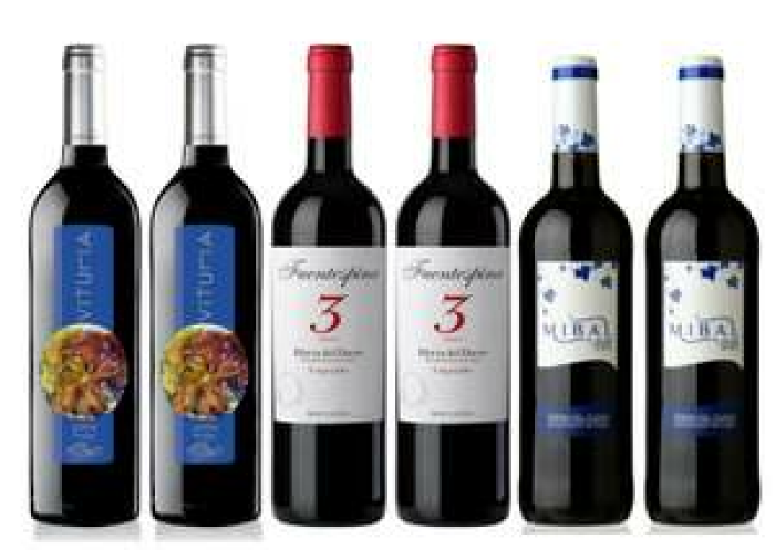 6 spanische Rotweine der Region Ribera Del Duero | Tempranillo