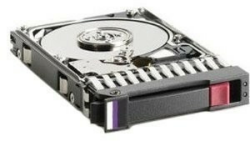 HPE DP SAS 1TB (461289-001)