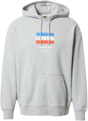 Levi's Relaxed Graphic Graphic Serif Hoodie (38479-0106)