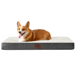 EHEYCIGA Orthopädisches Hundebett Kleine Hunde, Hundekissen Waschbar Flauschig, Hundematte Hundematratze mit Abnehmbarem Deckel für Kiste, Beige, 76x51x6cm 76x51x9cm Beige
