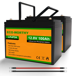 ECO-WORTHY LiFePO4 12V 200Ah Akku (2 Packungen LiFePO4 100 Ah),Lithium Batterie 12V mit über 3000 Mal Tiefzyklen und BMS Schutz für Wohnmobil, Camping, Solaranlage, Solarpanel Kit und Boot