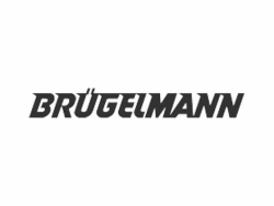 Bruegelmann