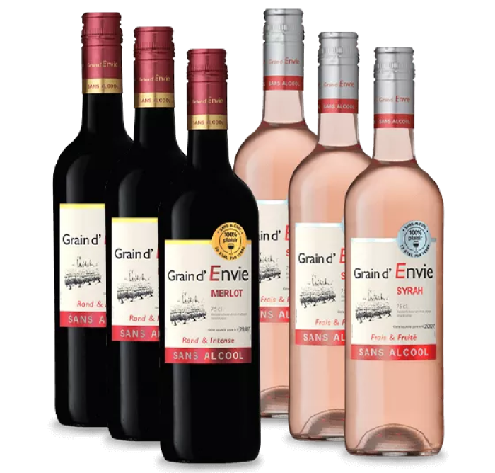 6er-Probierpaket – alkoholfreier Weingenuss aus Frankreich – Castel Frères
