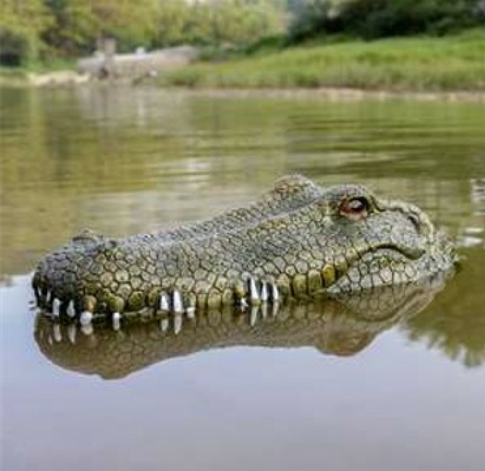 [Für kurze Zeit] Krokodil-Kopf RC Einsteiger Funktionsmodell RtR 300mm