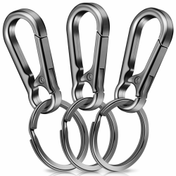 3 Stück Karabiner Schlüsselanhänger,Caianwin Karabinerhaken Klein Metall Schlüsselkarabiner,Schlüsselring mit Karabiner für Aufhängen im Rucksack, Autoschlüssel Angebot bei HelloDeals