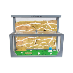 AntHouse - Natürliche Ameisenfarm aus Sand 3D | Modell L (Sandwich + Futterbox) Grau | Ant Farm | Inklusive Ameisenkolonie Angebot bei HelloDeals