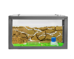 AntHouse - Natürliche Ameisenfarm aus Sand | 3D Starter Kit Grau 20x10x10 cm | Inklusive Ameisen Angebot bei HelloDeals