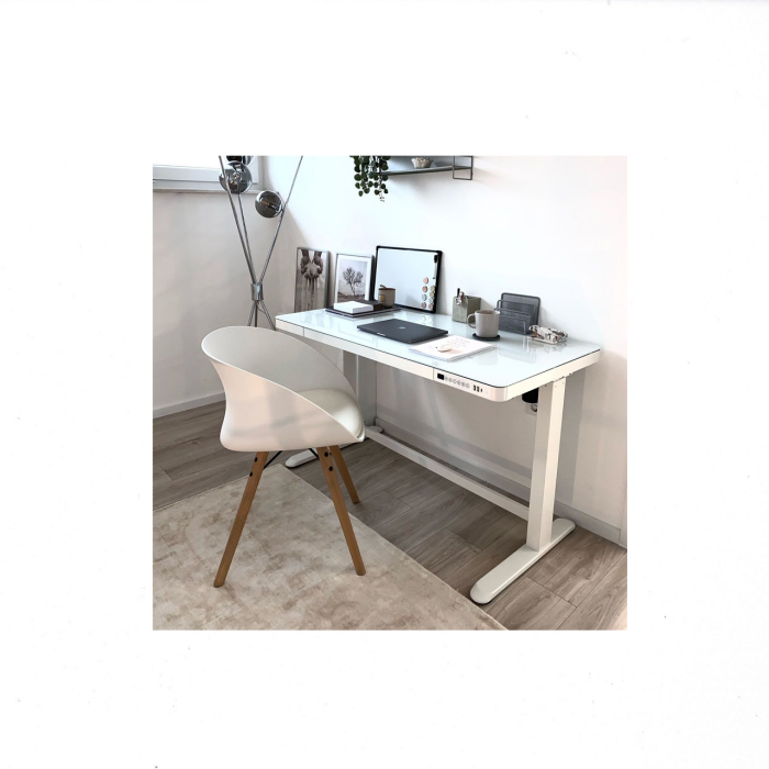 Elektrisch Höhenverstellbarer Schreibtisch EG8