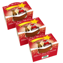 Bull & Bear 3er Set Mini Pflanzset 'Frohe Weihnachten' mit Samen für Stern des Orients im Topf 4,5cm, Chrysantheme Anzuchtset mit Pflegeanleitung 3 Stück Frohe Weihnachten' Stern des Orients Angebot bei HelloDeals