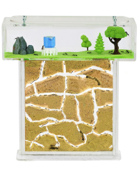 AntHouse - Natürliche Ameisenfarm aus Sand | Acryl T Kit 15x15x1,5cm | Inklusive Ameisen Transparent Angebot bei HelloDeals