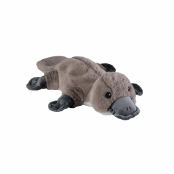 Warmies® Wärmekissen Schnabentier mit natürlicher Hirsekorn-Lavendel-Füllung 28 cm 230 g Grau 1 Stück (1er Pack) Angebot bei HelloDeals