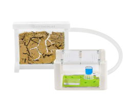 AntHouse - Natürliche Ameisenfarm aus Sand | 3D Basic Set (Sandwich + Futterbox) Weiß | Inklusive Ameisen Angebot bei HelloDeals