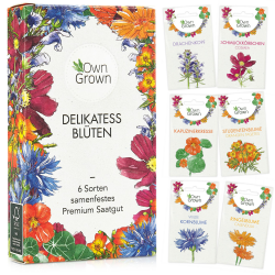 Essbare Blumen Samen Set : Delikatess Blüten Blumensamen Set mit 6 Sorten Blumen Saatgut – Essbare Blüten Samen – Essbare Blumen für Torte – Essbare Blüten Tortendeko – Blumen Essbar von OwnGrown Angebot bei HelloDeals