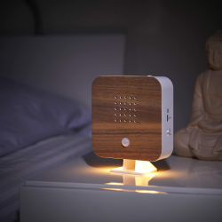 Northpoint Nature Sound Box Vogelgezwitscher Vogelgeräusche Box Motion Sensor Vogelgeräusche Licht Wiederaufladbar mit Wandhalterung Buche Winkel Buche Hoekig Angebot bei HelloDeals