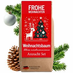 Little Plants Weihnachtsbaum Anzuchtset - Weihnachtsbaum 2030 I als Adventskalender Füllung, Wichtelgeschenk I Weihnachtsbaum in der Dose I Adventskalender befüllen Inhalt I Tannenbaum Geschenk Set 3 Kräftig Angebot bei HelloDeals