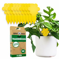 Super Ninja Trauermücken Bekämpfen mit Gelbsticker - 10 Stück - Hochwirksame und Ökologische Gelbtafeln für EIN Trauermückenfrei Haus - Einfache Anwendung - Bis zu 3 Monate 10 stück (1er Pack) Angebot bei HelloDeals