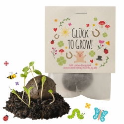 10x "Glück to grow" Samenbomben/Glücksbringer/kleine Geschenke Kollegen Saatbomben Geschenk Gäste Geschenke Gastgeschenk Kinder Dankeschön Geschenke Kollegen Danke Mitgebsel kleines Dankeschön Angebot bei HelloDeals