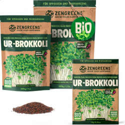 ZenGreens® - Bio Ur-Brokkoli Sprossen Samen - Wähle zwischen 10g, 200g und 500g - Brokkolisprossen mit hohem Sulforaphan-Gehalt - Stengelkohl Samen - Brokkolisamen - Keimrate von über 97% 10 g (1er Pack) Bio Ur-Brokkoli Samen Angebot bei HelloDeals