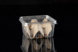 20 Kleine Argentinische Waldschaben Angebot bei HelloDeals