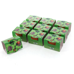 Bull & Bear 10er Set Mini-Pflanzset Glücksklee, 10x Kleezwiebeln im Topf 4,5cm, vierblättrige Kleeblätter als Anzuchtset mit Pflegeanleitung 10 Stück Glücksklee Angebot bei HelloDeals