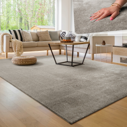 Paco Home Waschbarer Teppich Wohnzimmer Schlafzimmer Kurzflor rutschfest Flauschig Weich Moderne Einfarbige Muster, Grösse:200x280 cm, Farbe:Grau 200 x 280 cm (Rechteckig) Grau Angebot bei HelloDeals