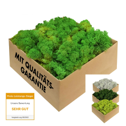 Islandmoos - konserviertes Moos in 200g/500g/1kg/4kg für Moosbilder, als Deko oder zum Basteln (laubgrün, 1kg) Laubgrün 1.0 Kilogramm Angebot bei HelloDeals