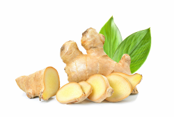 Bio Ingwer | Frischer Ingwer aus biologisch zertifiziertem Anbau | Fresh Ginger (Biologisch, 100 g) Geschmacklos 100 g Angebot bei HelloDeals