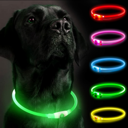 Leuchthalsband Hund, Hundehalsband Leuchtend Aufladbar, LED Halsband für Hunde, Leuchtband Hund Einstellbare Größe Hunde Leuchthalsband Sicherheit für Ihren Hund in der Nacht(Green2) B-Green Angebot bei HelloDeals