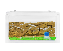 AntHouse - Natürliche Ameisenfarm aus Sand | 3D Starter Kit Weiß 20x10x10 cm | Inklusive Ameisen Angebot bei HelloDeals