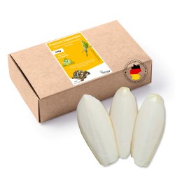 Tamay Sepiaschalen Premium I 25 Stück I Sepia Schalen I Optimale Kalzium und Vitaminversorgung Nahrung, 250g Futter für Reptilien, Schildkröten, Vögel I Terrarium Zubehör Angebot bei HelloDeals