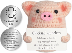 Tixlux Pocket Hug Glücksschweinchen, Kreative Strickwolle Minischwein Puppe und Kleine Umarmung Glücksbringer (Silber Ⅰ), Mutmacher Geschenk, Gute Besserung Geschenk, Einschulung Geschenk Angebot bei HelloDeals