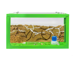 AntHouse - Natürliche Ameisenfarm aus Sand | 3D Starter Kit Grün 20x10x10 cm | Inklusive Ameisen Angebot bei HelloDeals