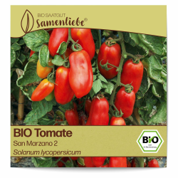 Samenliebe BIO Tomaten Samen alte Sorte San Marzano 2 italienische Tomate längliche Romatomate rot 10 Samen samenfestes Gemüse Saatgut für Gewächshaus Freiland und Balkon BIO Gemüsesamen Angebot bei HelloDeals