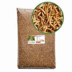 Paul´s Mühle Mehlwürmer getrocknet, Proteinreiche Würmer für Igel, Hamster, Teichfische und Vögel, 1 kg Angebot bei HelloDeals