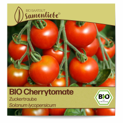 Samenliebe BIO Cherrytomaten Samen Zuckertraube besonders süße Cocktailtomate Tomate rot 10 Samen samenfestes Gemüse Saatgut für Gewächshaus Freiland und Balkon BIO Gemüsesamen Angebot bei HelloDeals