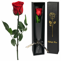 Yamonic Infinity Rose Rot mit Stiel Geschenke für Frauen,Echte Rose zum Valentinstag, Ewige Rose in Geschenkbox,Konservierte Blume, Geschenke für Mama,Muttertagsgeschenk 1 1-rot Angebot bei HelloDeals