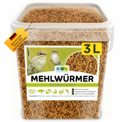Mehlwürmer getrocknet 3L, Premium Insektensnack Vögel, Fische, Schildkröten, Nager, Igel, Reptilien, Vogelfutter Wildvögel Ganzjährig Eichhörnchen Futter Hamsterfutter Igelfutter (460g) Angebot bei HelloDeals