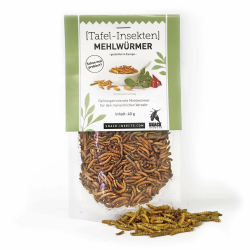 Mehlwürmer 40g - essbare Insekten von 'SNACK insects' - Insekten zum Essen Angebot bei HelloDeals