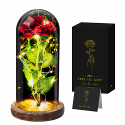 Ewige Rose,Rose im Glas mit licht,Geschenk Valentinstag für Sie,Romantische Geschenk für Freundin,Frau,Ehefrau,Junge Frauen,Schwiegermutter, Mama,Oma Schwester Angebot bei HelloDeals