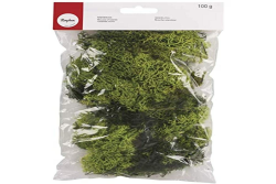 Rayher 8503211 Islandmoos, hellgrün, Btl. 100 g, echtes Natur-Moos (Island), konserviert, gereinigt, zum Basteln, Deko-Moos zu Ostern, Weihnachten, für den Modellbau Angebot bei HelloDeals