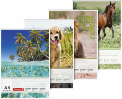 Brunnen 1047445 Zeichenblock (A4, 120 g/m², 20 Blatt) Angebot bei HelloDeals