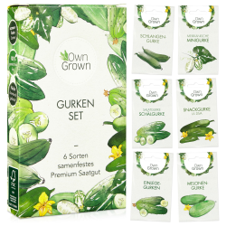 Gurken Samen Set: 6 Sorten Gurken Saatgut mit Freilandgurken Samen, Einlegegurken Samen, Minigurke Samen – Samen Gemüse Samen, OwnGrown Gurke Samen Angebot bei HelloDeals