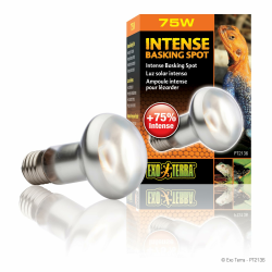 Exo Terra Intense Basking Spot, Wärmespotlampe, R20, 75W, Fassung E27 Angebot bei HelloDeals