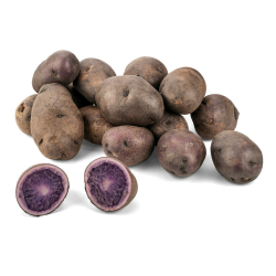 Blaue Kartoffeln aus Deutschland | Blaue Trüffelkartoffeln | Gourmet Speisekartoffeln in Blau - vorwiegend festkochend (800 g) Angebot bei HelloDeals