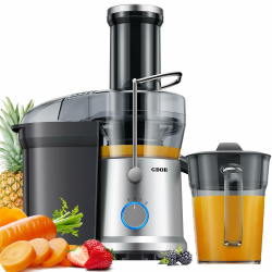 GDOR Entsafter 1300W Entsafter Gemüse und Obst mit Größerem 81mm Einfüllschacht für Ganze Früchte und Gemüse 1250ml Großer Saftkrug 3 Geschwindigkeiten Juicer Machine Leicht zu Reinigen Juicers Silber Angebot bei HelloDeals