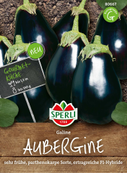 80667 Sperli Premium Aubergine Samen Galine | Frühe Sorte | Ertragreich | Aubergine Saatgut | Auberginen Samen Angebot bei HelloDeals