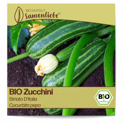 Samenliebe BIO Zucchini Samen alte Sorte Striato D'Italia aromatisch milde italienische Zucchini gestreift 10 Samen samenfestes Gemüse Saatgut für Gewächshaus Freiland und Balkon BIO Gemüsesamen Angebot bei HelloDeals