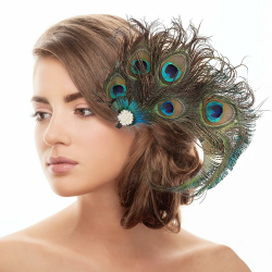 Pfau Kopfschmuck Haarspange,Pfau Haarschmuck,Feder Haarschmuck mit Strassbesatz,Pfauenfeder Haarreif,Karneval Kopfschmuck Damen,Pfau Kostüm für Carnival, Fancy Dress,Themenparty Angebot bei HelloDeals