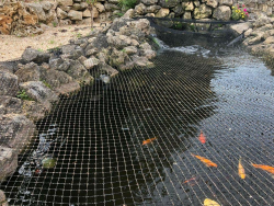 AquaOne Teichnetz feinmaschig 5x4m I Teichabdeckung für laubfreien Teich I vielseitiges Netz in schwarz I Abdecknetz mit 10 Spießen I Schutznetz für Gartenteich Angebot bei HelloDeals