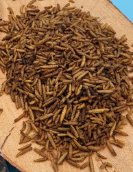 Futterbauer 5kg Soldatenfliegenlarven getrocknet, Premium Vogelfutter, Fischfutter, Futter für Reptilien und Nager, Proteinreiches Naturfutter wie Mehlwürmer Angebot bei HelloDeals